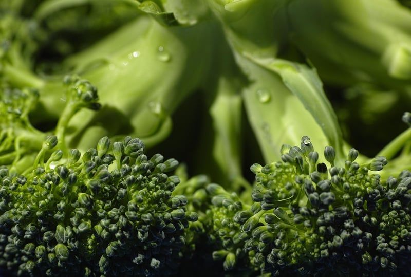 Découvrez les avantages d'une alimentation végétarienne pour la santé cardiovasculaire en 2026